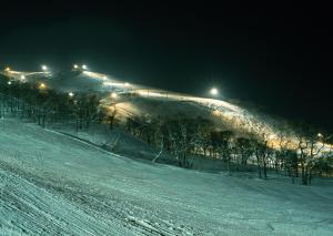 Hotel Resort Inn Niseko - Room Types and Features
