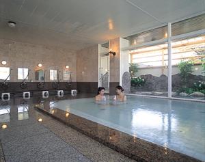 Hotel Yuzawa Yuzawa Denkiya - Accessibility Features