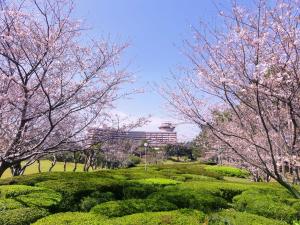 Ibusuki Iwasaki Hotel - Policies and Accessibility