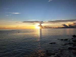 Izu Hokkawa Seaside Guesthouse, a Family in Izu, Shizuoka - Outdoor Activities