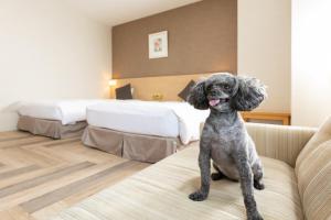 KAMENOI HOTEL Chitamihama - Guest Reviews