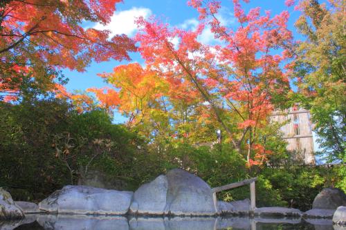Kasuga No Mori - Booking Policies