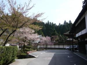 Kongo Sanmaiin - Dining Options