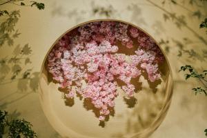 KONJAKUSO Osaka Tengachaya NIHONCHA Tea & Relax - Policies