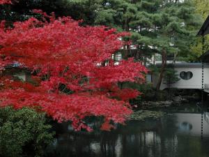 Matsusaki - Wellness and Recreation