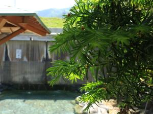 Minshuku Miyama - Surrounding Attractions