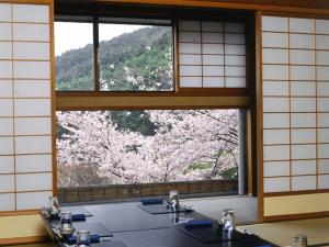 Momoyama - House Rules and Policies