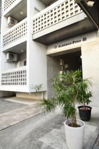 Pine Stay Hotel - Contact Information
