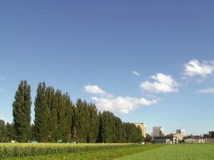 Sapporo Clark Hotel - Guest Reviews and Ratings