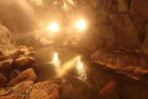 Shimizu Ryokan - Dining Options