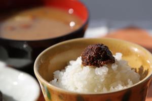 Shinano Sou - Guest Reviews and Ratings