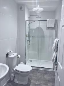 Templestowe Hotel, Number One for Entertainment in Torquay - Nearby Attractions