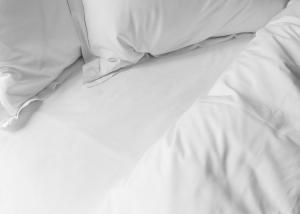 The Lodge Hotel - Putney - Location and Accessibility