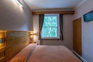 The Nayland Hotel - Nearby Attractions