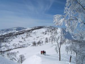 Togari Onsen Alpen Plaza - Guest Reviews and Feedback