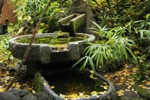Tokinenoyado Yunushiichijoh Review - Accommodation Options