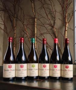 Yoichi LOOP - Policies and Check-in