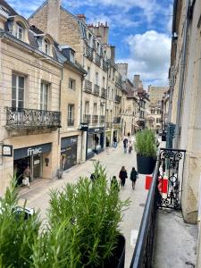Alfred Suites - Apartment Hotel - Dijon - Historic Center - Nearby Attractions