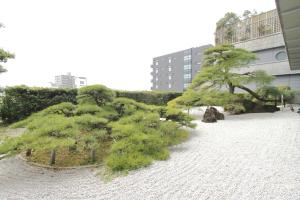 Dogo Kan - Guest Experiences and Reviews