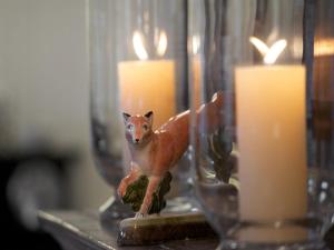 Fox and Grapes - COVID-19 Safety Measures