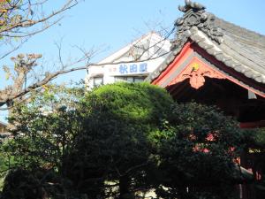 Funayado Akitaya - Nearby Attractions