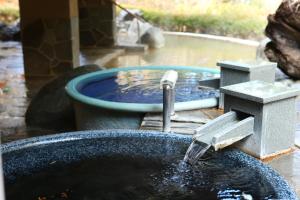 Hakone Hisui Review - Dining Experience