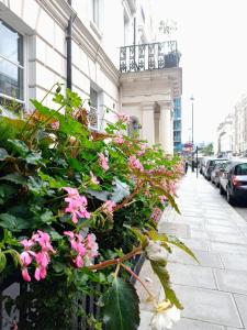 Hotel Edward Paddington - Transportation Options