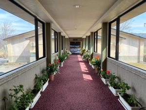 Hotel Goryukan - Policies and Check-in