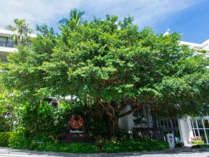 HOTEL MOON BEACH MUSEUM RESORT - Exceptional Guest Satisfaction