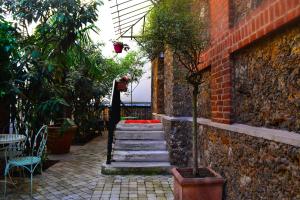 Hotel Windsor Home - Nearby Attractions