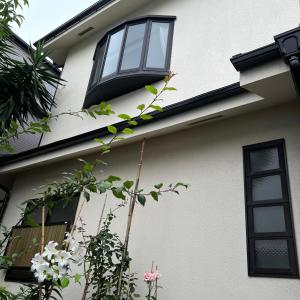 Japan House Shinkoiwa Guest House - Frequently Asked Questions