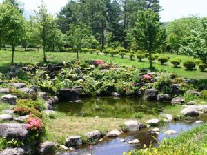 Komao Ryokan Review: A Tranquil Escape - Policies and Reservations