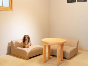 MIMARU SUITES Tokyo Asakusa - Booking Your Perfect Stay