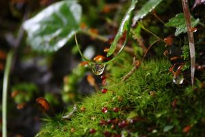 Moritsubetsu - Services and Facilities