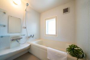 MP STYLE Fortuna - Frequently Asked Questions