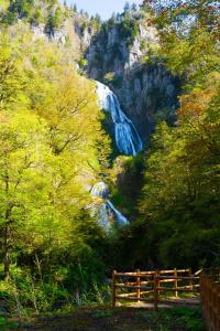 Shikishimaso - Booking Information