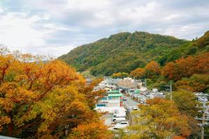 Shuzenji Onsen Hotel Takitei - Nearby Attractions