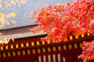 Stay SAKURA Kyoto Kiyomizu Ougi - Frequently Asked Questions