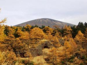 Tengu Onsen Asama Sanso - Policies and Considerations