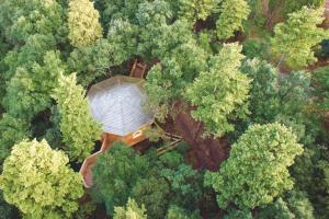 The Cabins in the Woods Hotel - How To Book Your Stay