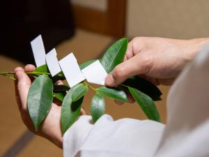 Togakubo - Frequently Asked Questions