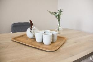 Tokyo Asakusa New Condo Sensoji-6min - Guest Ratings