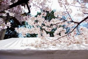 TORA HOTEL SKYTREE - Booking Process and Options