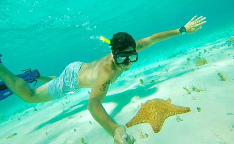 Tulum: Cozumel Cielo Adventure! Round Trip From Tulum City - Tour Overview