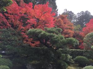 Yamazaki Ryokan - Frequently Asked Questions
