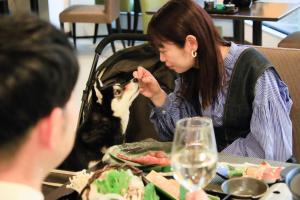 Yururi Nishiizu - Policies and Important Information