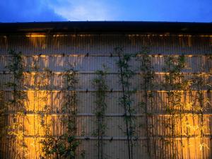 AsoTsuruya - Frequently Asked Questions