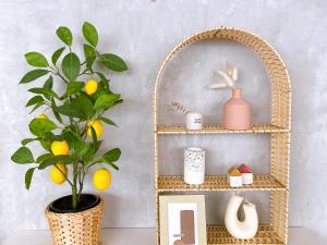 Book Tea Bed SHINJUKU-GYOEN - Booking Information