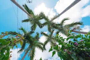 Hotel California Miyakojima Resort - Extended Stay Opportunities