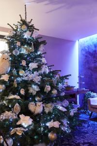 Hotel-Spa Le Moulin De La Wantzenau - Strasbourg North - Policies and Fees